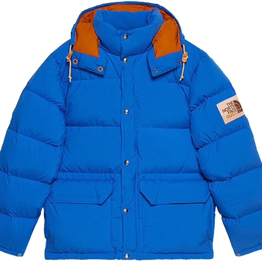 Gucci North Face Puffer